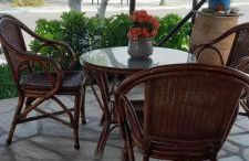 Γοργονα - Foto 12