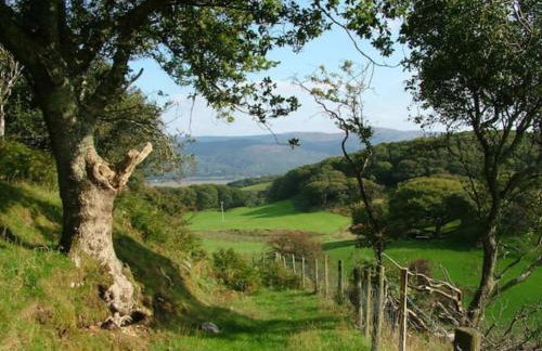Stunning views of Ynyshir & Southern Snowdonia - Foto 32