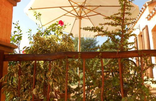 Nurazzolas - Foto 44