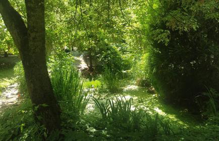 Relaks w boberkach Prywatna sala do Bilarda - Foto 13