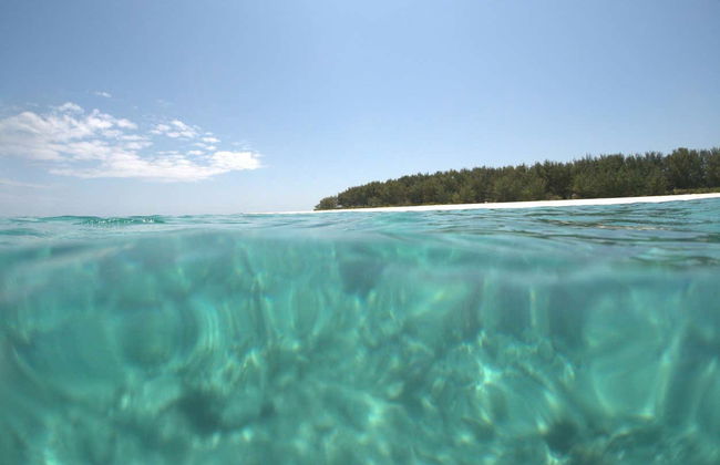 Snorkeling all'atollo di Mnemba - Foto 4