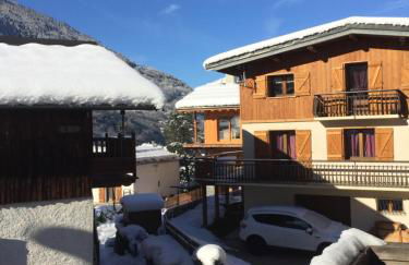 Le petit Saint Bernard - Photo 34