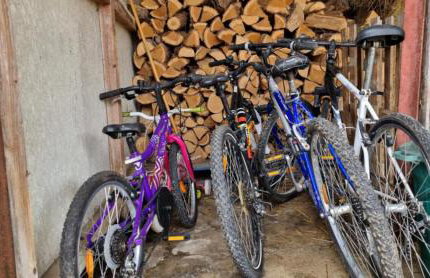 Le Dom’Aisne à Zabeth, lieu simple et paisible *** - Photo 22