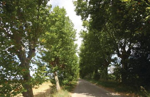 Nice Home In Narbonne With Sauna - Foto 11