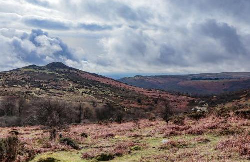 Harcombe House Accessible Pet Friendly Bungalow - Foto 33