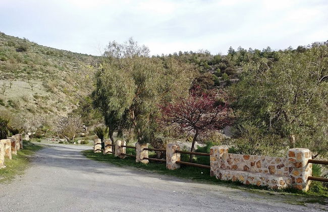 CASAS RURALES CORTIJO LEONTINO - Photo 50