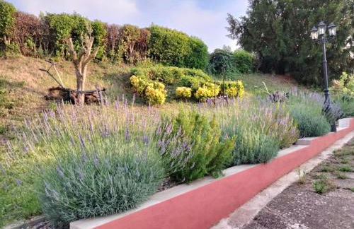 CASA TURÍSTICA Villa Carmen, CON AMPLIO JARDIN QUE INCLUYE BARBACOA, 2 PORCHES, PARKING PRIVADO Y PISCINA - Foto 51