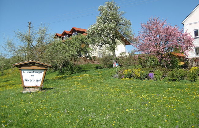 Comfortable Apartments in Rotthalmunster - Photo 68