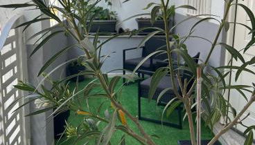 Mi refugio en la playa - Foto 5