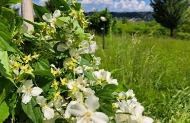 La casa di mezzo-affitti brevi-zona ospedali - Foto 22