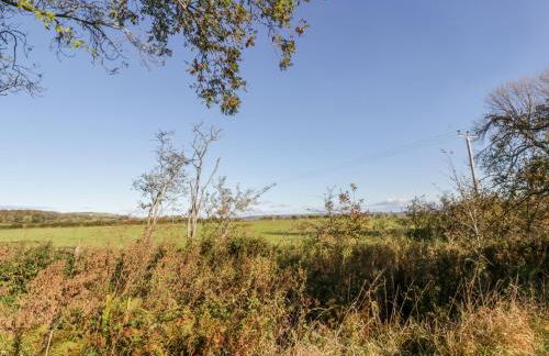 Old Kiln Cottage - Foto 24