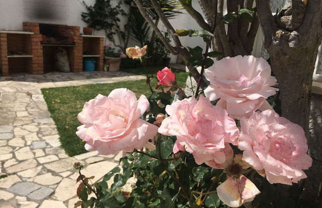 Two Bedroom Self Contained House - Photo 48