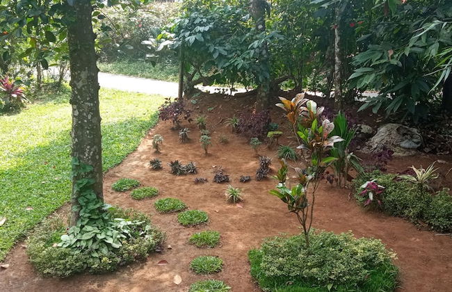 Family Villa is a hut Style Accommodation - Foto 9