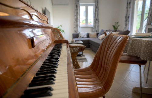 Crni mačak - Foto 5