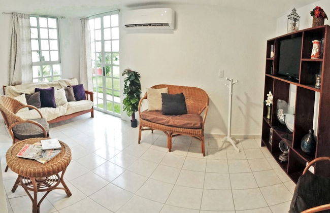 HominngBird - Foto 53