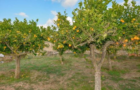 Casa Nonno Luciano - Foto 17