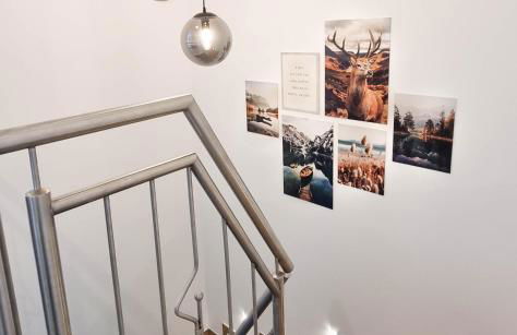 Premiumzeit Pure Apartment Bostalsee mit Infrarotkabine - Foto 13