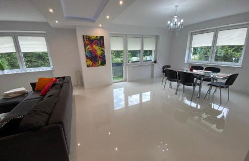 White House Izabelin Family SPA House near Warsaw - Foto 63