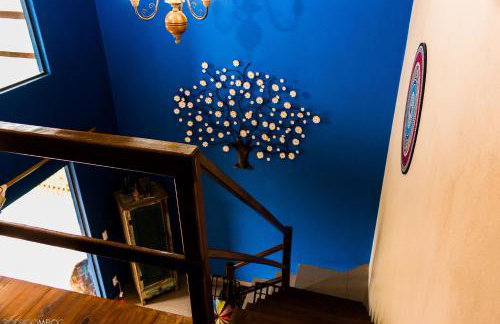 Capim Canoa - Foto 12