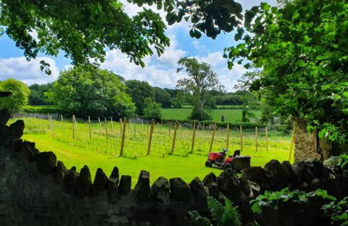 Plas Dinas Country House - Photo 19