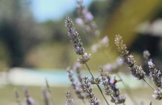 Pura - Home in Nature - Foto 48