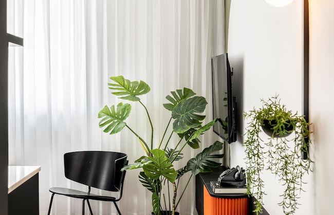 Mr. Montana - By TLV2GO - Foto 34