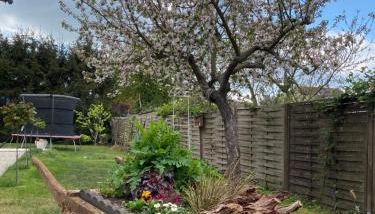 Ferienhaus Frankstraße 5b - Foto 2