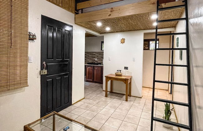 Terminal Verde - Foto 41