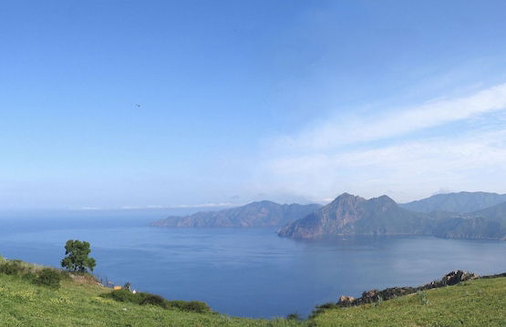 Résidence de la Tour - Foto 47