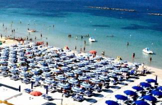 Ada's House - Foto 37