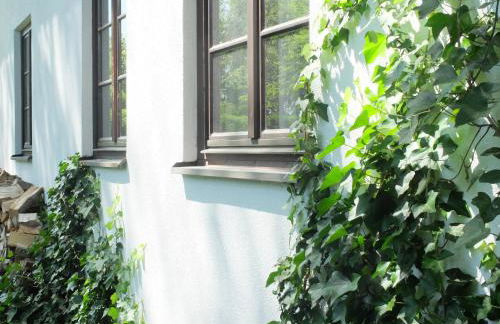 Ferienwohnung Tausendfreund am Chiemsee - Foto 19