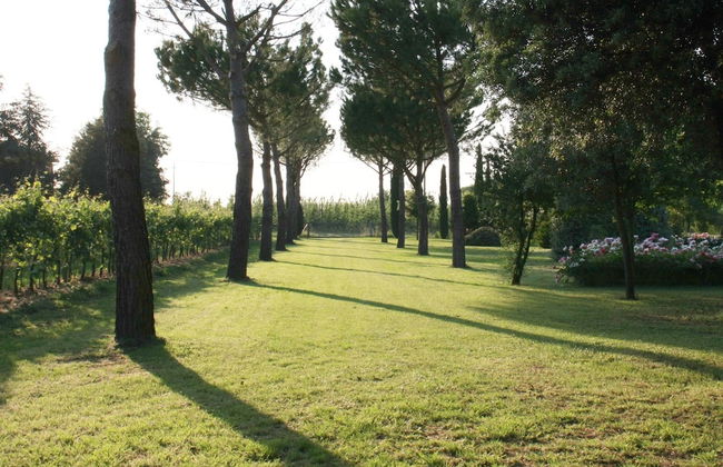 Furry Frinds With Family Home - Photo 38