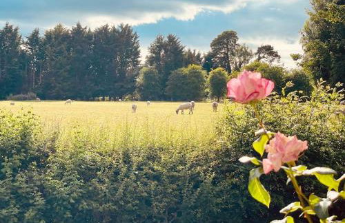 Tawny Owl Barn - Foto 29