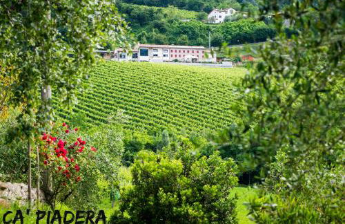 Ca' Piadera Wine Relais - Foto 47