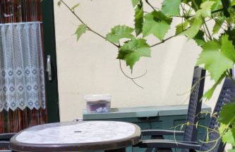 Holiday Home Haus am Seeufer in Plau am See by Interhome - Foto 9