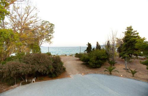 Porto Assini - Foto 14