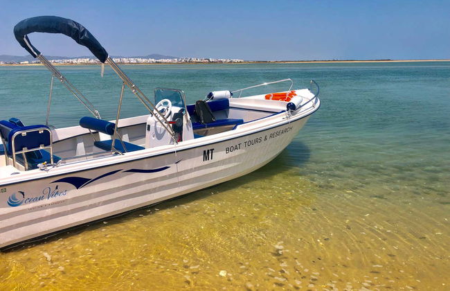 Faro Dolphin Watching Tour - Photo 10