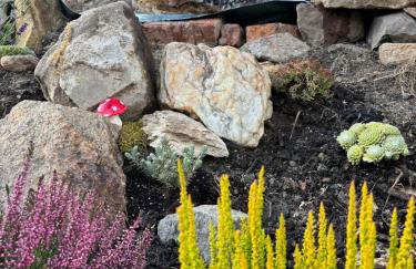 AgroStudio - Foto 22