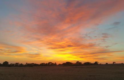 Haus an der Pferdekoppel am Blankenburger See - Photo 36