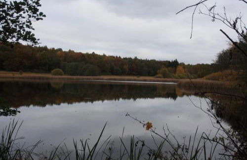 FeWo Harz Haennig 2 - Foto 38