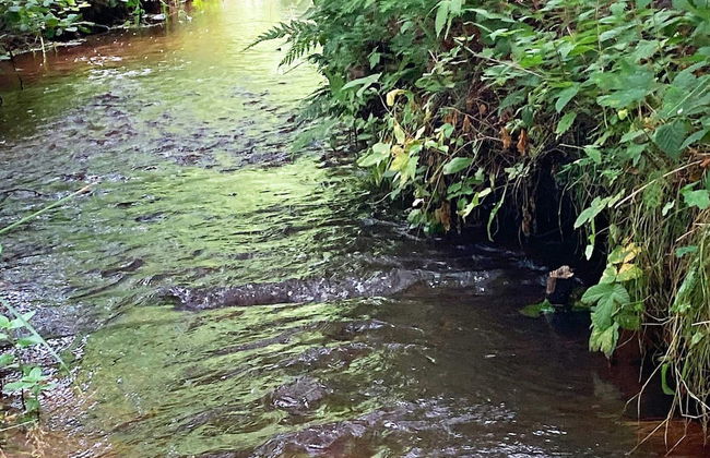 8 Person Holiday Home in Albaek-by Traum - Foto 60