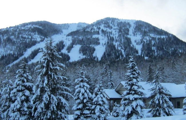 Mountain Town Properties Black Jack's Flat - Foto 7