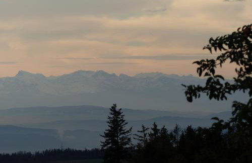 Fischerhof - Foto 26