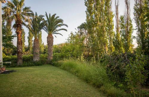 Eressos Ilios Apartments - Photo 9