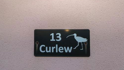 Curlew - Foto 3