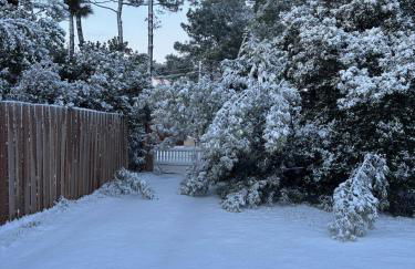 Villa - Montalivet les bains - 450m Océan - Foto 36