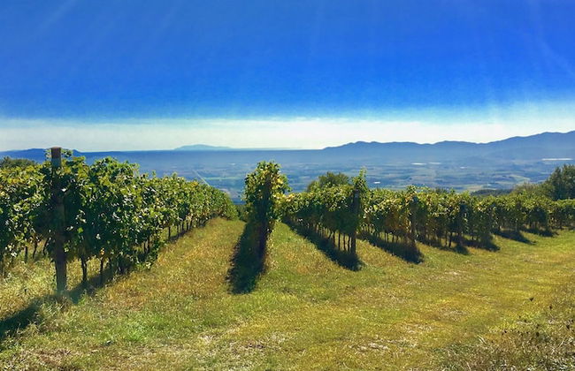 Valdonica Winery & Vineyard Residence - Foto 54