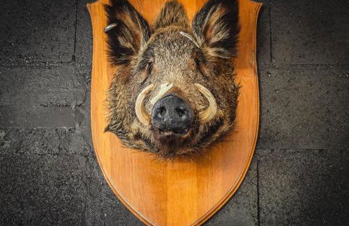 Premium apartment in Saint-Quirin with garden - Foto 25