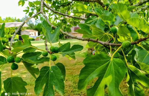 Ca na Maria - Foto 17