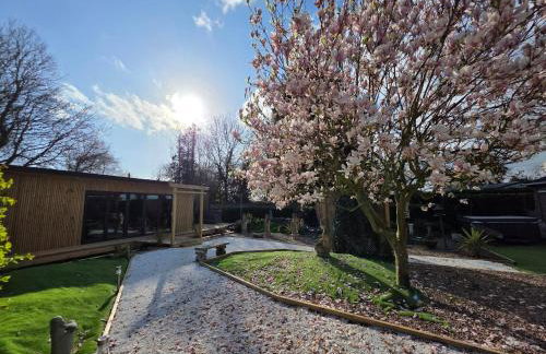 Lighthouse Lodge - Dog Friendly Nr Sutton on Sea - Photo 5